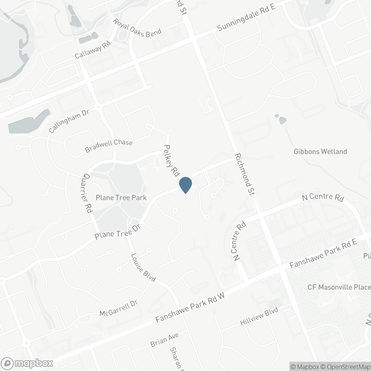 135 PLANE TREE DRIVE, London, Ontario N6G 5H4